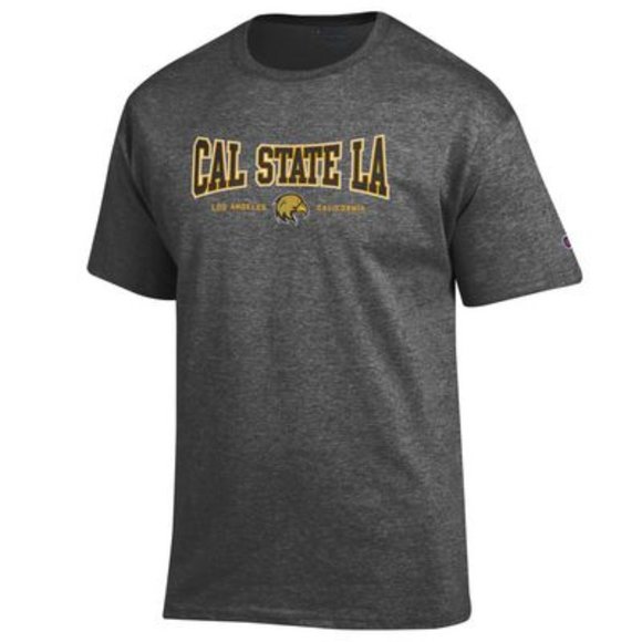 Champion Other - Champion Men's Relaxed Fit Jersey Tshirt Gray Tee